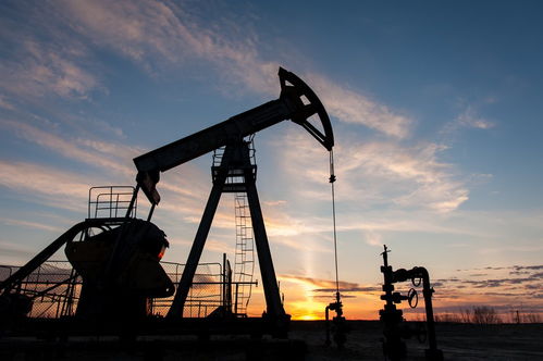 俄副總理透露歐佩克+將在12月前維持自愿減產(chǎn)，天然氣儲運(yùn)成能源市場關(guān)鍵議題